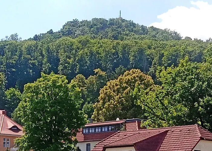 Apartment Biesnitz